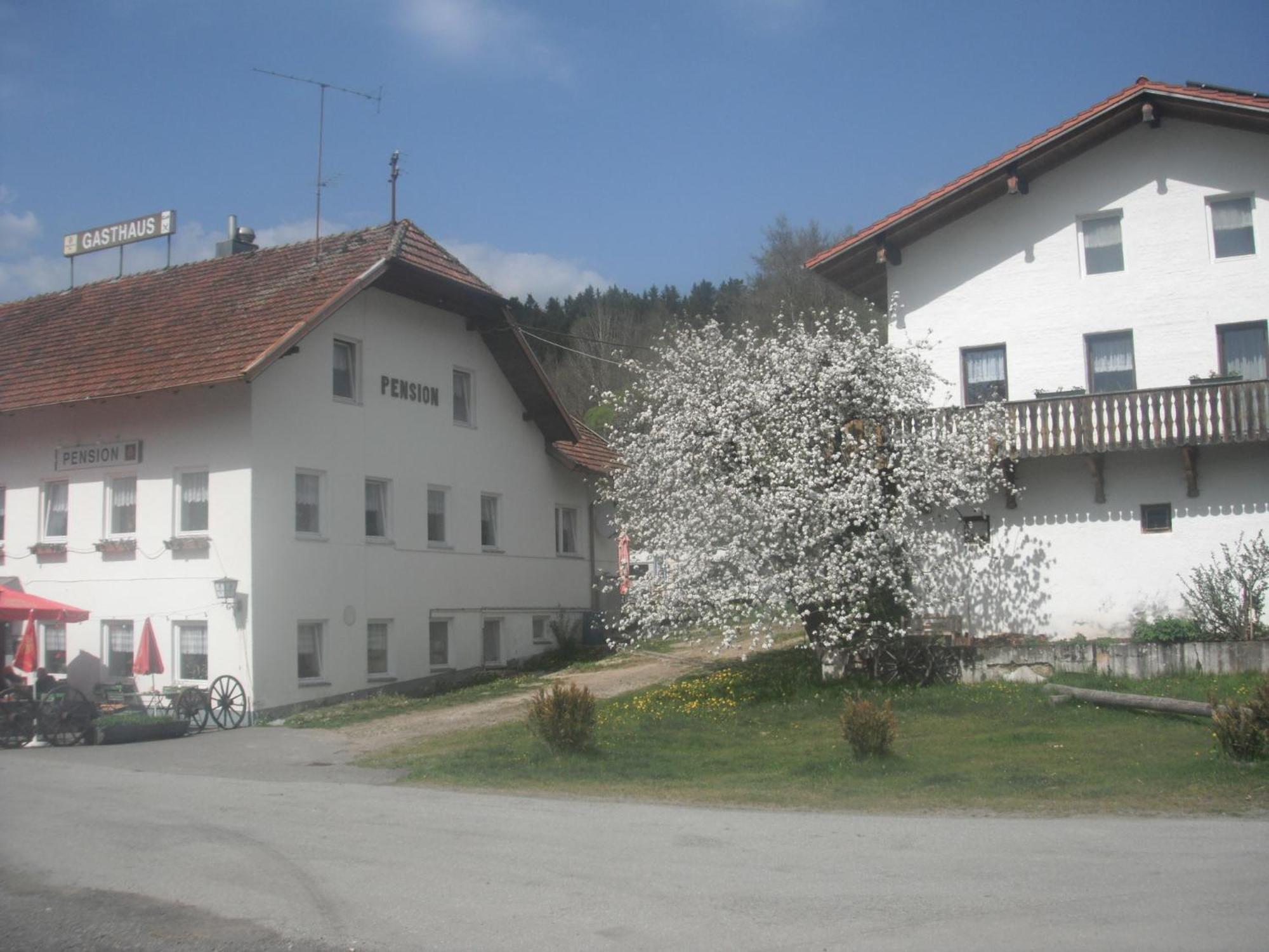 Gasthaus Zehrermuehle Schonberg  Exterior photo